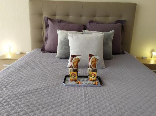 Le coconing appt 102