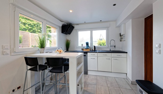 Le Coeur des Alpes - ambiance chalet cocooning avec jardin - Marnaz