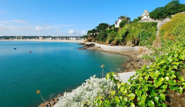 Le Coquelicot - Pleven