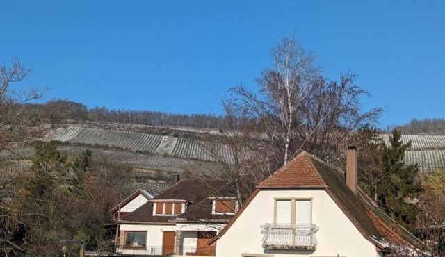 Le Cosy (20' Strasbourg by bus)