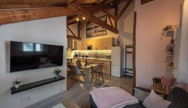 Le Cosy, Appartement à 500 m du Centre Ville, Netflix et Wifi Gratuit