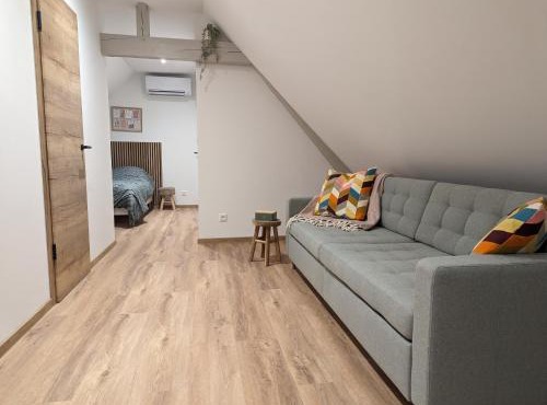 Le Cosy Bus 230 direct Marché de Noël 20min