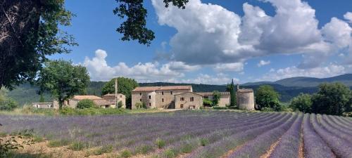 Le Cosy Luberon - Viens