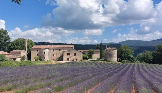 "LE COSY LUBERON" - VIENS