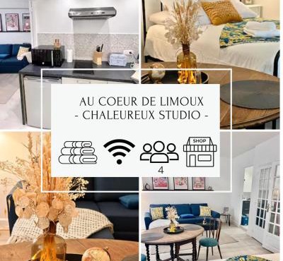 LE COSY - Studio 4 pers - wifi - centre ville