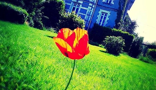 Le Cottage Charming studio for 2 people