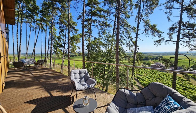 Le cottage des pins chalet on the vineyards