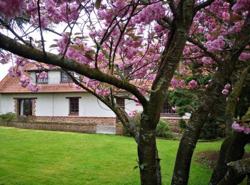 Le cottage des quatre vents