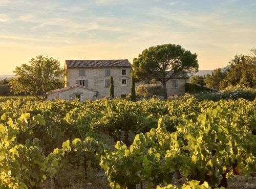 Le Cottage du Chat Blanc