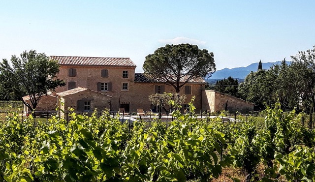 Le Cottage du Chat Blanc