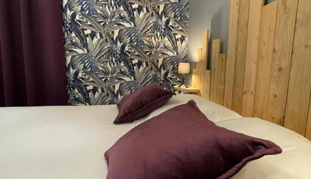 Le Dahlia 1 bdrm4 pers+1BB