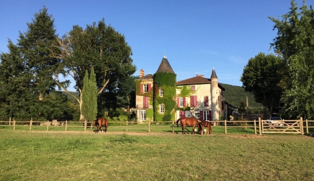 Le Daneline - CLUNY - Gîte