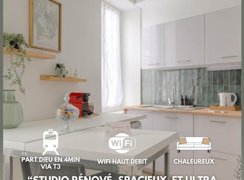 Le Dauphiné studio climatisé