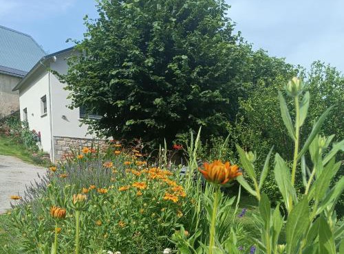 Le domaine de Moïse