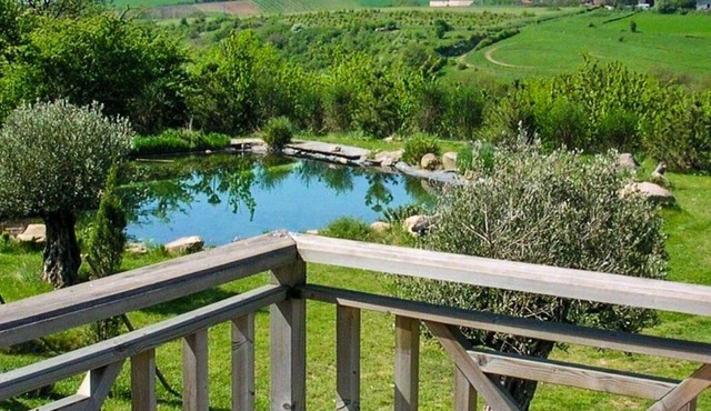 Le Domaine des Vignes, heated swimming pool in a large wooded park