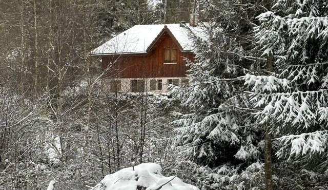 Le Domaine du Bambois Chalet 15pers 5min from Gérardmer Spa Sauna Etang Pétanque
