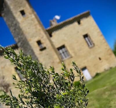 Le Domaine de Pépé