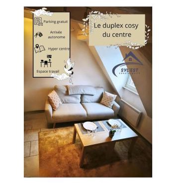Le duplex cosy Phalsbourg