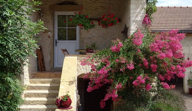 Le Figuier - Cortevaix