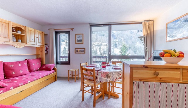 Le Flocon - Studio cosy vue montagne -Val d'Arly