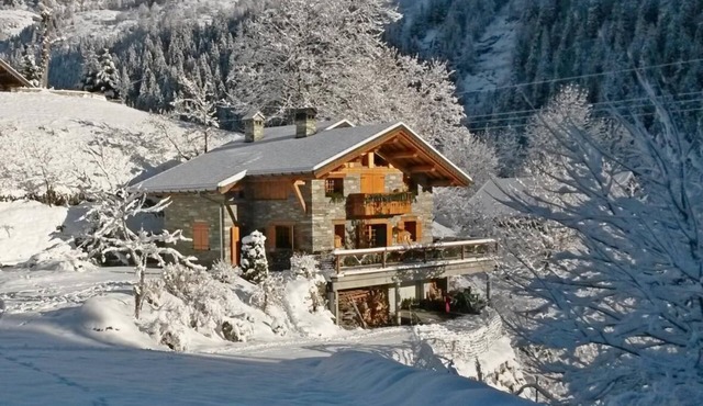 LE FLOCON - VILLAROGER