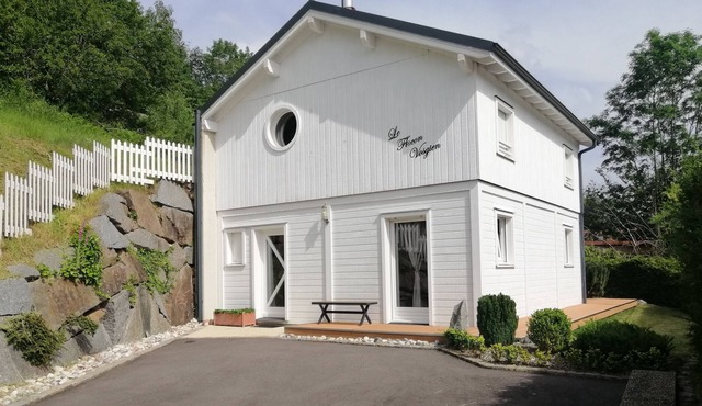 Le Flocon Vosgien (10 min from Gérardmer)