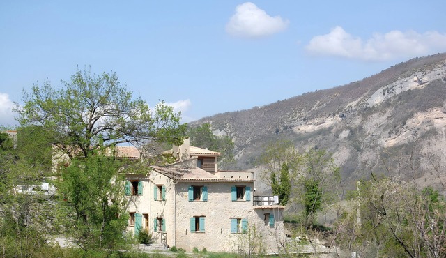 Le frêne – La Ferme des Aygues, Drôme Provençale
