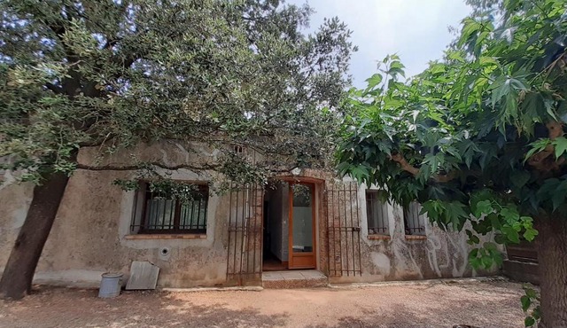 Le Grand Saint Mitre