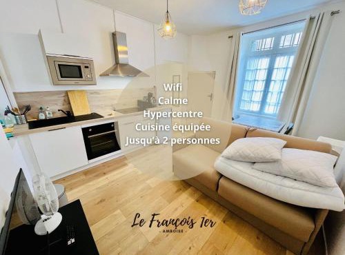 Le François 1er - Studio entre Loire et Château Royal - Manoir de la Concorde