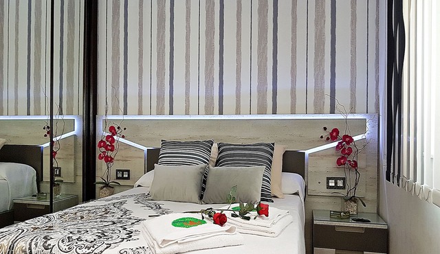 Le Frog apartment in Salamanca for 4 people with PARKING and WIFI-OFFERS
