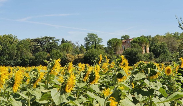 Le Gîte Château Sud, le Charme de la Toscane au Coeur du Lauragais