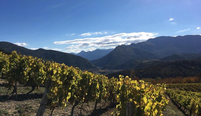 Le gîte de Valérie côté jardin