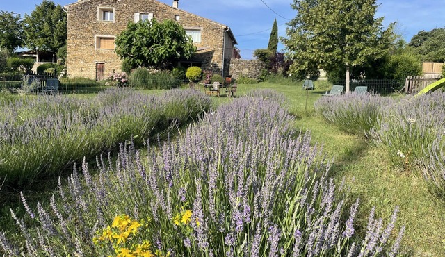Le Gîte D'agathe en Luberon, Vivre une Expérience en Pleine Nature !