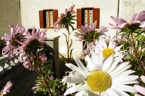 Le gîte de cals haut