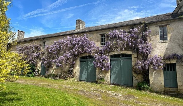 Le Gîte de la Grande Chouette - un Séjour Dans un Château Médiéval !