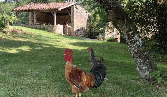 Le Gîte de lescarcelles proche du château de Bonaguil