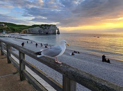 Le gîte de SoleilMapou pour 12 personnes en Normandie près de Fécamp et d'Etretat, idéal grandes tribus, vous pouvez me contacter sur Les gîtes de SoleilMapou