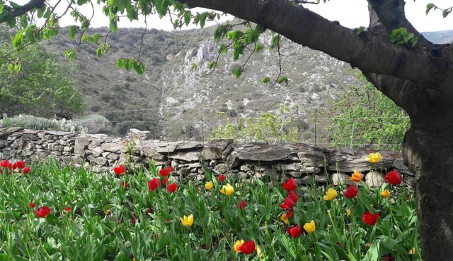 Le Gîte Fleuri - LIMOUSIS