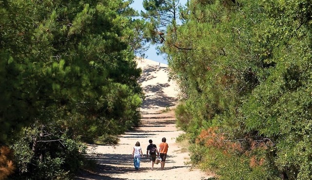 Le Galon d'Or - newly renovated vacation home. Ideally located