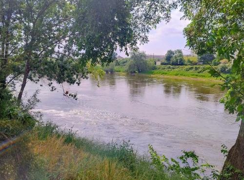 Le gite de l'ile du Buzet