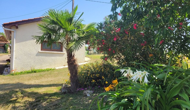 Le Gîte De Gayssanes: Charm and Tranquility in the Heart of Nature