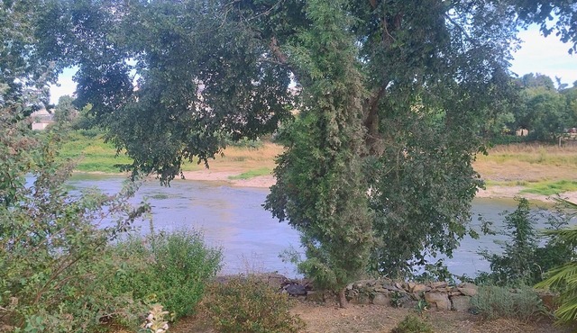Le gîte de l'île du Buzet, facing the Loire and surrounded by nature. A haven of peace.
