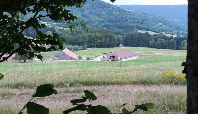 Le Gîte du Chat Gru, on a farm in the Vosges mountains