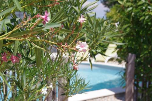 Le Grand Cèdre - 2 Chambres d'hôtes - Sud Ardèche