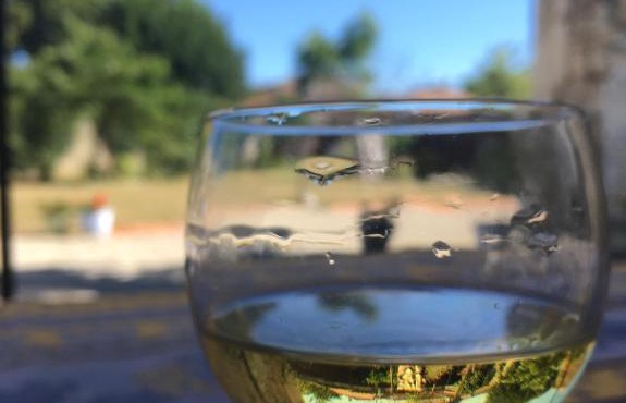 Le Grenier 1 Rue Verte Tusson 16140 France