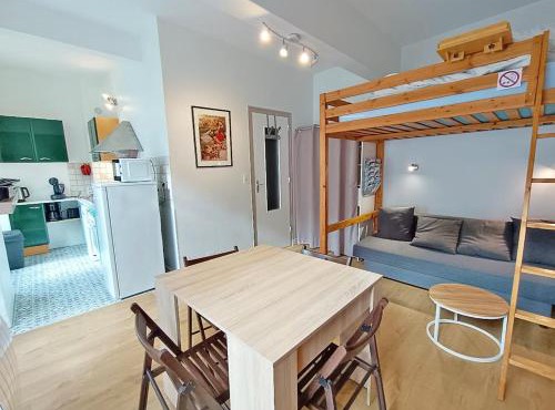 Le Gypaète, t1 bis, vue montagne, wifi, ascenseur, balcon, 6 personnes