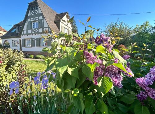 Le Hêtre Rouge Charme & Spa Alsace