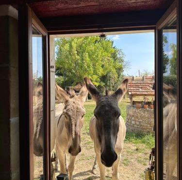 Le Hameau des Ânesses
