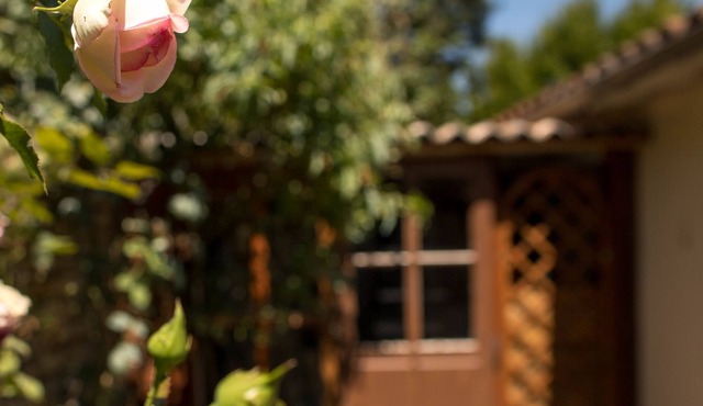 Le Havre de Paix - Belle maison proche Futuroscope
