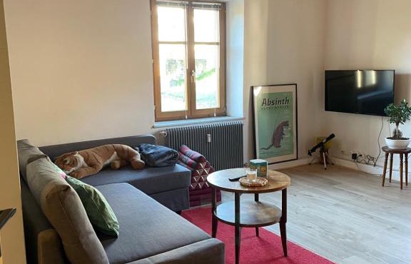 Le Hohwald centre appartement 2 pièces # 102